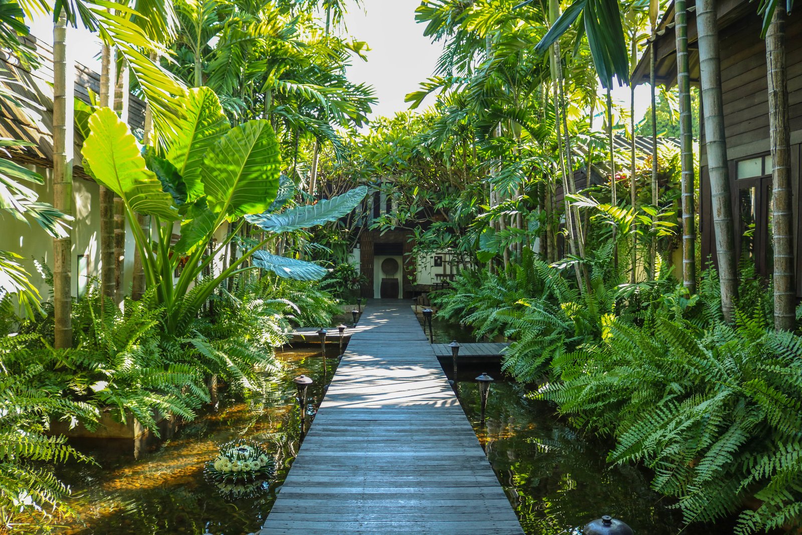 Custom Courtyard Landscaping Kerala